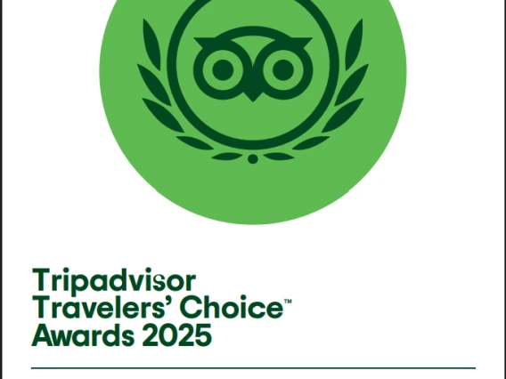 Richard F. Caris Mirror Lab Tours have been recognized by Tripadvisor in 2025 as among the Top 10% of Things to Do Worldwide